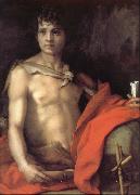 Andrea del Sarto Portrait of younger Joh France oil painting artist